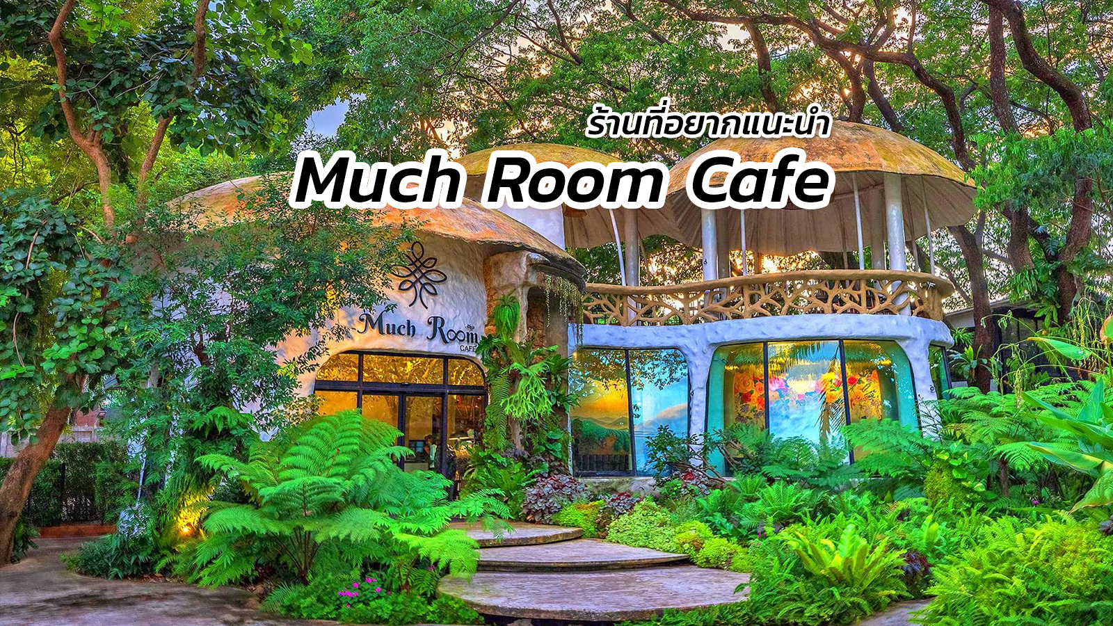 ร้าน Much Room Cafe เชียงใหม่