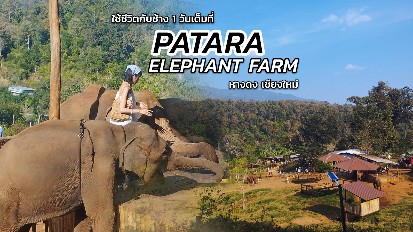 ปางช้างภัทร เชียงใหม่ Patara Elephant Farm Chiang Mai